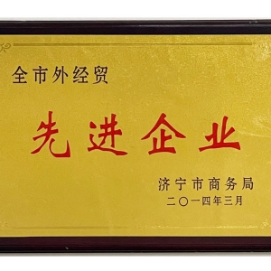 全市外經(jīng)貿(mào)先進企業(yè)